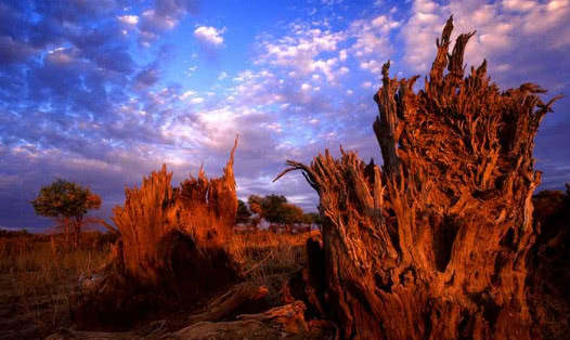 巴州国庆节有什么活动,十一长假哪里去巴州美景任你玩