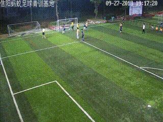 信阳大黄蜂足球,河南信阳蚂蚁足球俱乐部