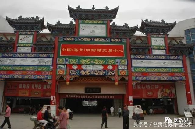 中药饮片造假常识,中药饮片经典鉴别方法有哪几种