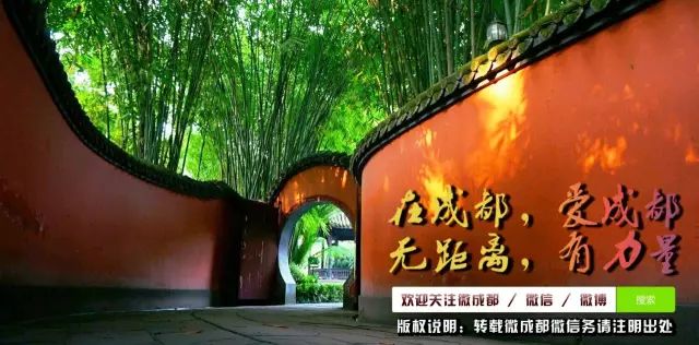 好玩的枕头大战,最好玩的枕头大战