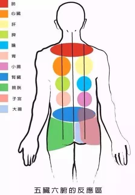 重磅！圣美爱免费给你一场“销魂”之旅，快来体验吧~