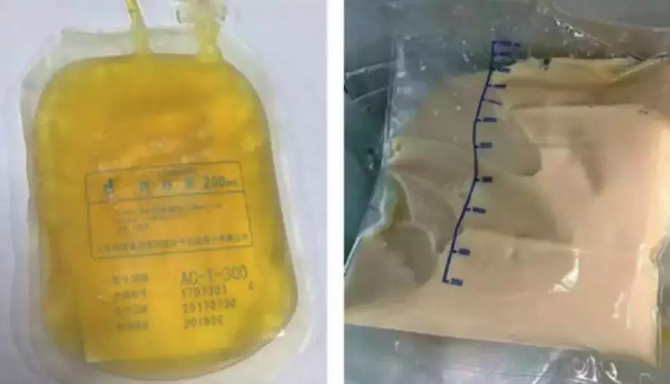 好好吃饭才是最好的爱自己,好好吃饭真的是一种高级人生智慧