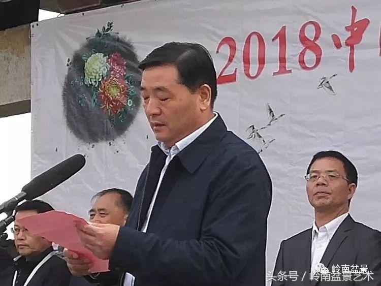 百年精品流苏老桩盆景,精品南天竺盆景