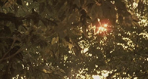 自带磨皮的拍照技巧,网红拍照怎么高清又磨皮