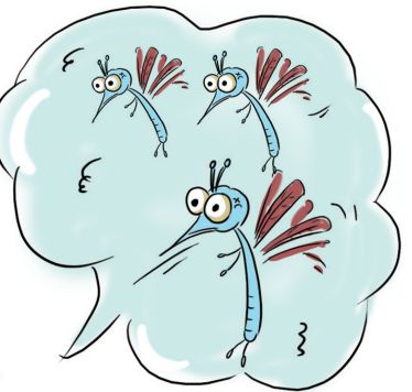 登革热高发！国庆出行东南亚注意防蚊虫叮咬！