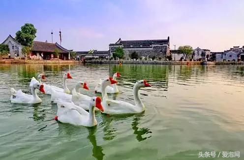 宁波九龙湖旅游度假村,宁波九龙湖开元度假村早晨美景