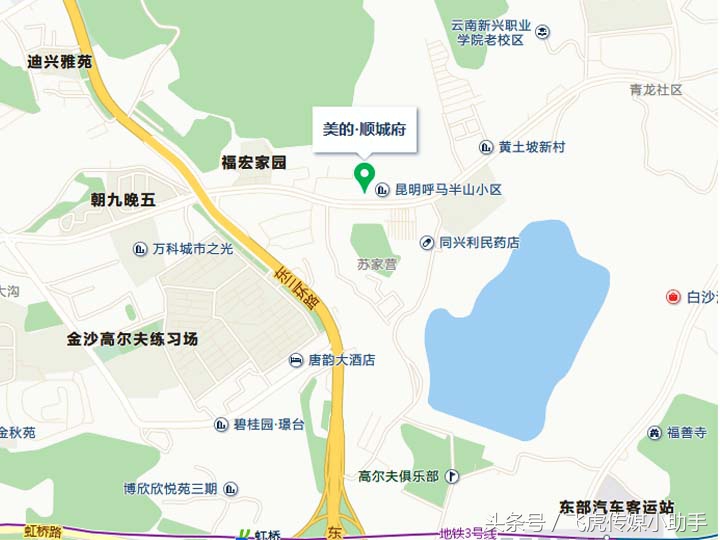 萌宠总动员第一季全集免费,萌宠总动员周末嗨翻天