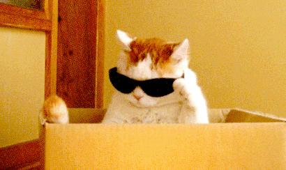 用了那么多年的电饭煲都白用了,用了2年电饭锅有膜