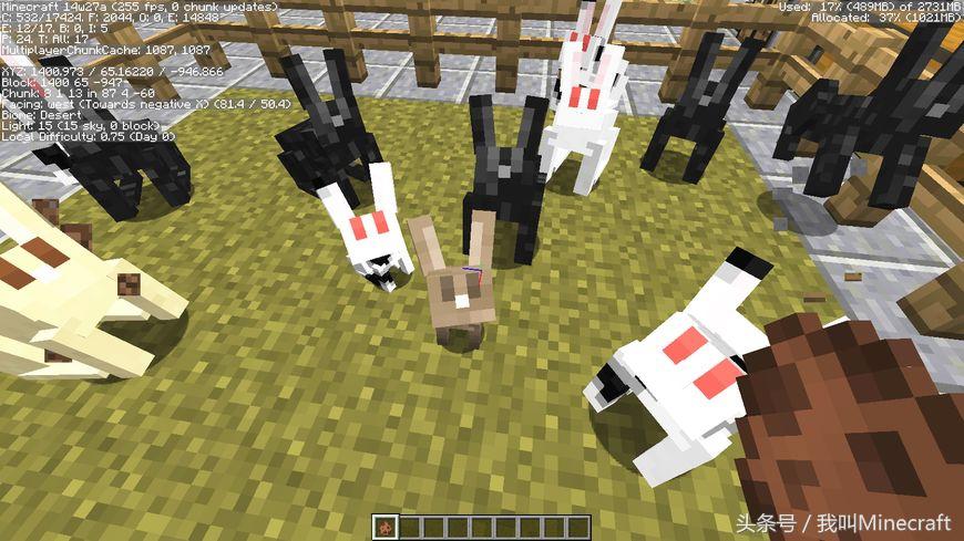 我的世界兔子的种类,我的世界兔子真正身份