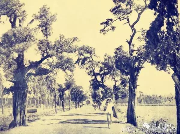 孔府孔林孔庙的高清图片,孔府孔庙孔林经典高清照片