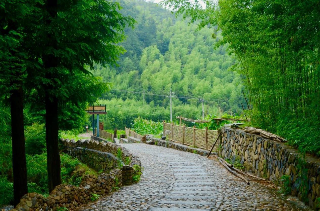 鐪嬪瀛愮殑娴极鏃呰6鏈夋劅,鐪嬪瀛愮殑娴极鏃呰