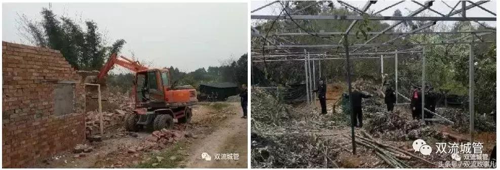 双流违规别墅拆除补偿多少,成都市双流区违建名单