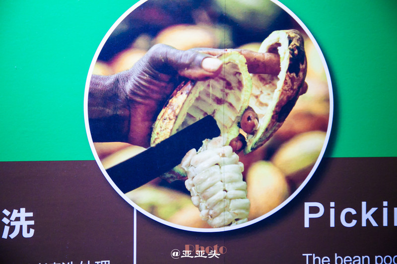 十一小长假带婴儿去哪里玩,十一长假想带孩子旅游长见识