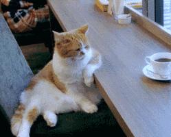 外媒报道中国科技崛起,互联网咖啡有多火