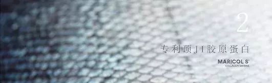 秦岚参加米兰时装周,上海时装周走秀秦岚