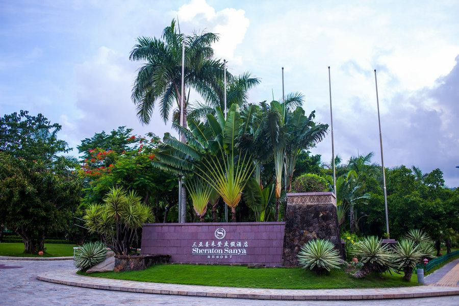 打卡三亚地道,打卡三亚浪浪海滩