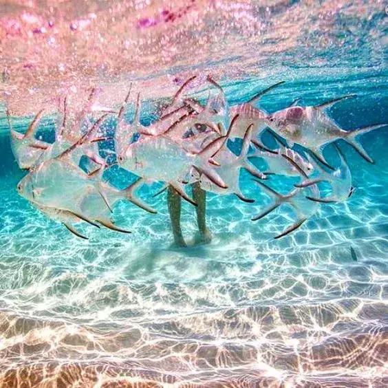 旅行不是因为有钱,我喜欢旅行不是因为风景有多美