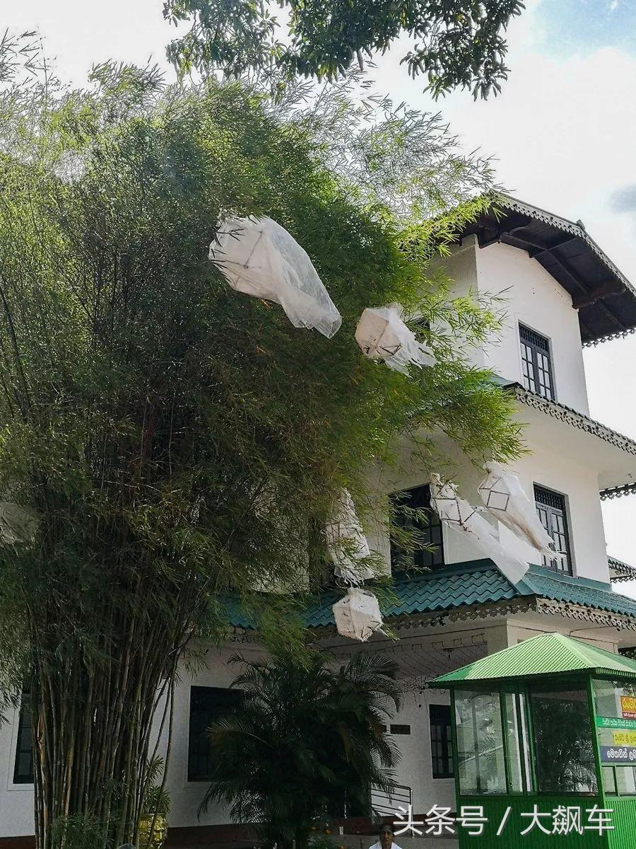 开学“B计划”之，印象斯里兰卡（一）！