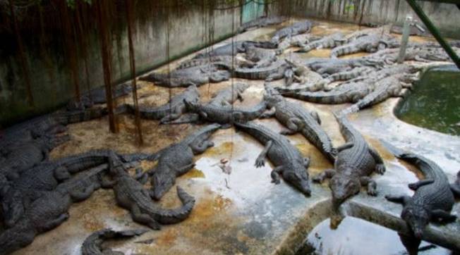 看了这些你还坚持买苹果吗,看了这些你还想买苹果吗