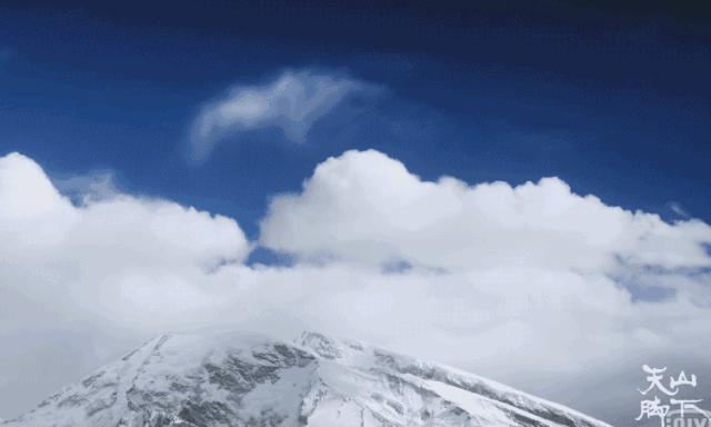 *疆新**，你除了牛羊还有什么？