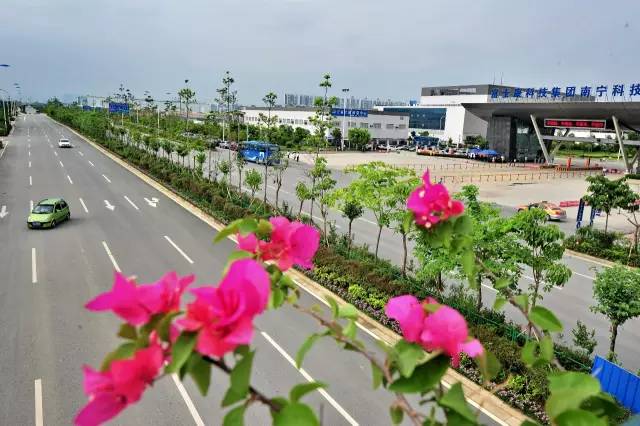 江南区沙井街道,江南沙井