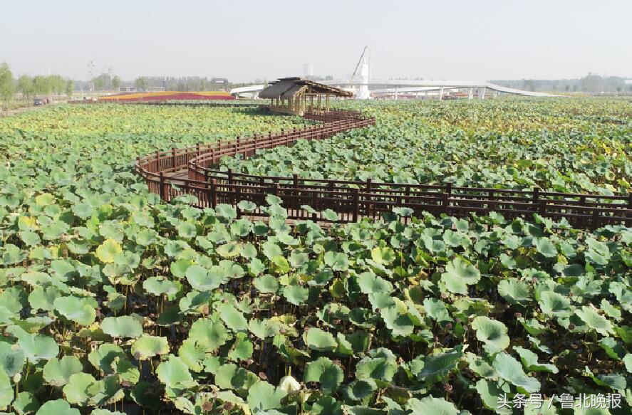 第五届全国网络媒体“看滨州”大型采访活动圆满落幕