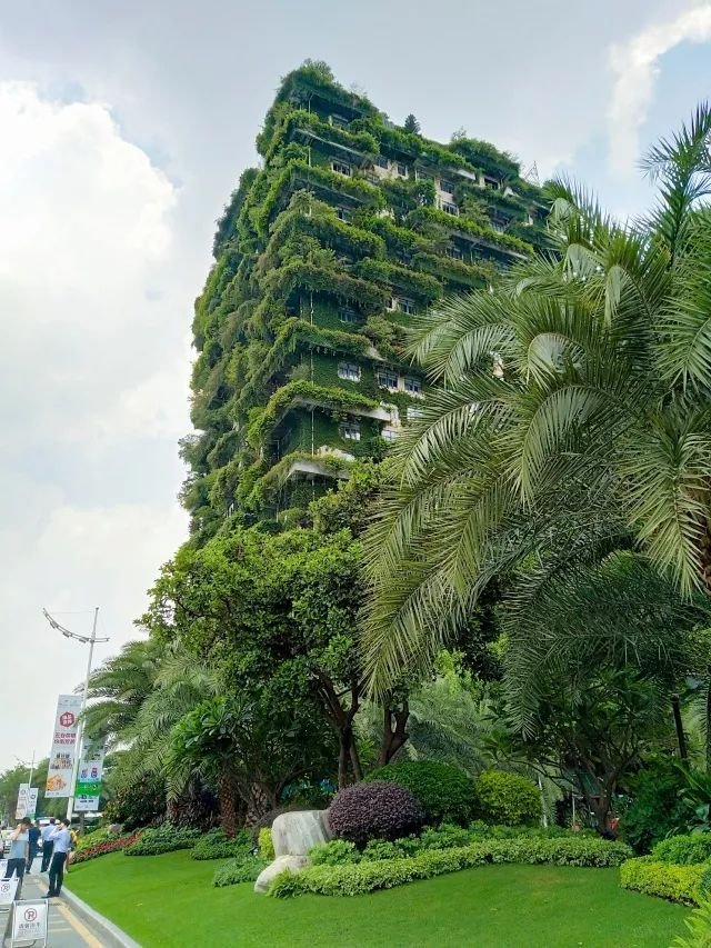 在碧桂园实习是一种怎样的体验：都是踏踏实实做事的人感觉超厉害