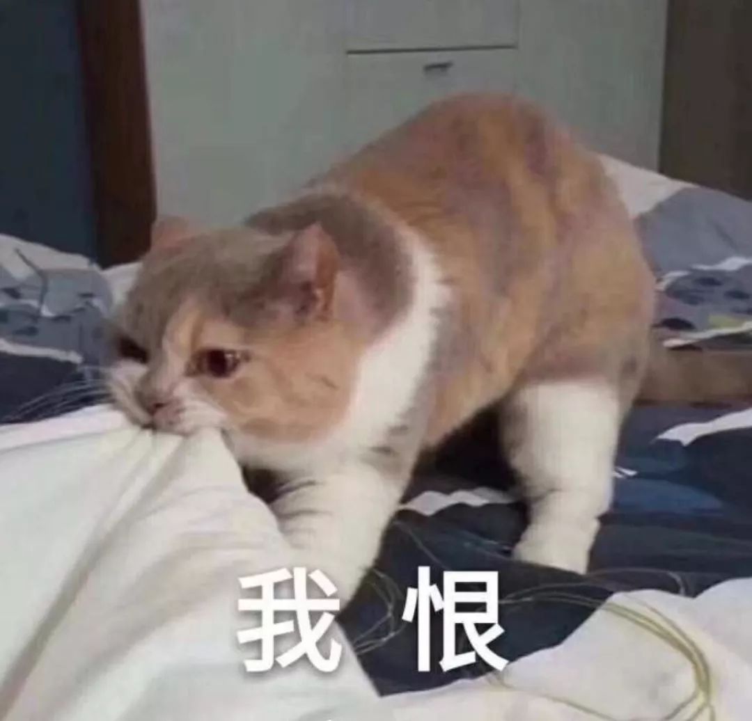 泰国蛇毒面膜为什么那么少,泰国面膜蛇毒面膜