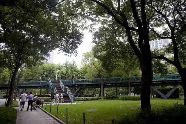 上海南京杭州苏州乌镇旅游攻略,上海迪士尼乐园旅游攻略大全