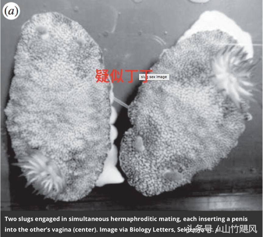 科学研究男性特征,科学认识男性生理问题