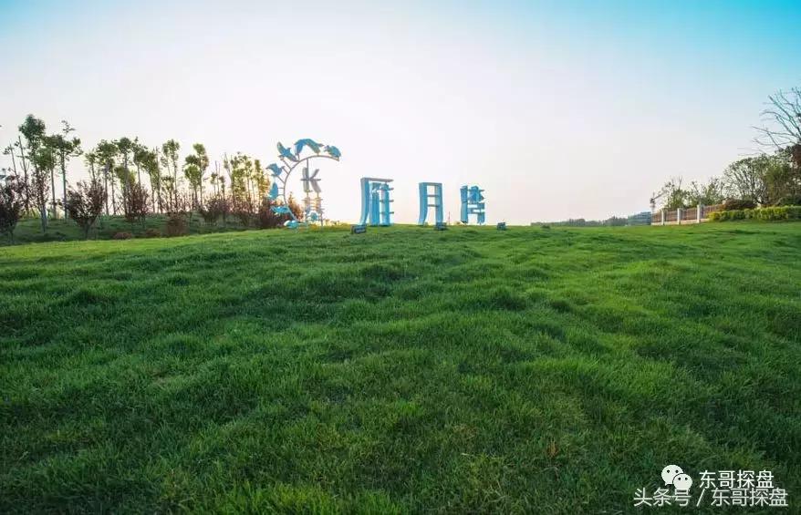 最后一栋瞰湖小高层,瞰湖小高层