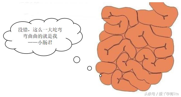 坐拥500吨美钞的发哥，拉的屎是不是金光闪闪的？