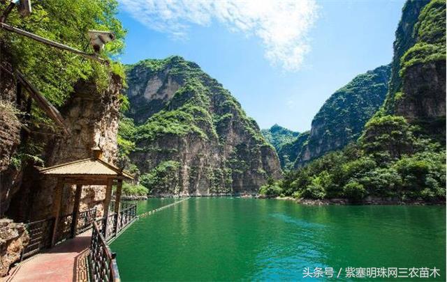 北京龙庆峡民宿,北京龙庆峡民宿第一名