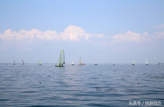 上海这座城市有多美,上海只是上海