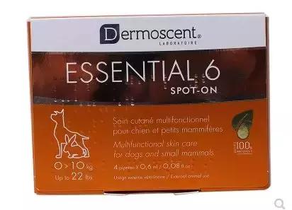 猫狗得了皮肤病,猫狗得病不好治