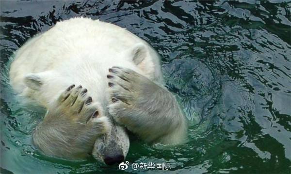 晨看*疆新**｜城乡最低生活保障水平再涨；百辆纯电动出租车乌市上路