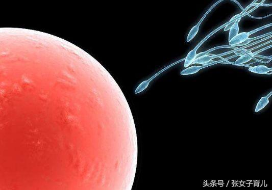 男人的生育能力最大是多大年龄,中国男人的生育能力究竟怎样
