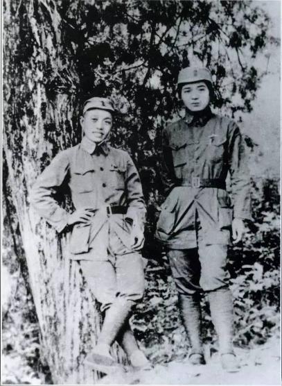 他是毛主席口中的“谭老板”，却曾被人说“我看你还不如蒋介石”