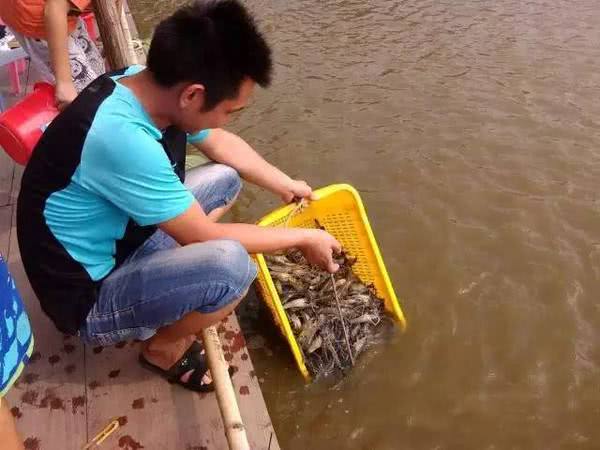 钓海虾有什么技巧,晚上钓海虾最简单方法