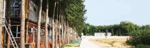 精品集装箱房旅馆,新兴特色集装箱酒店