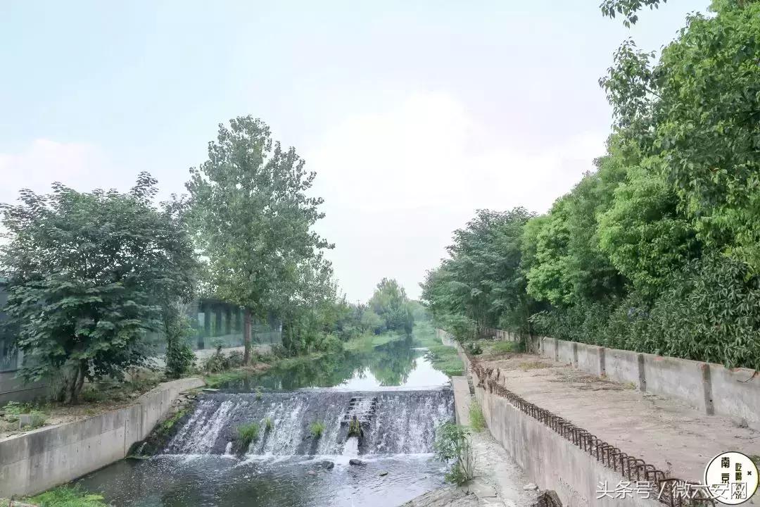 南京梅山属于上海吗,南京的梅山在什么位置