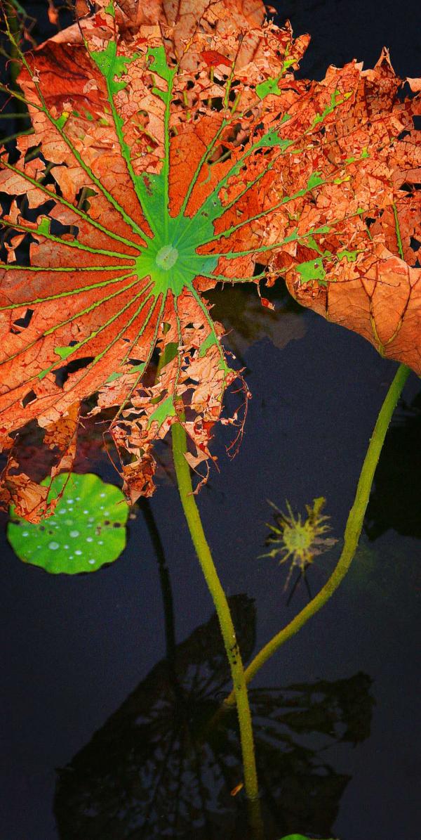 没钱时我们应该怎么办,没有钱咋办呀