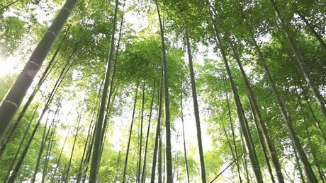 上海徐家汇有必要逛吗,上海人逛的商圈