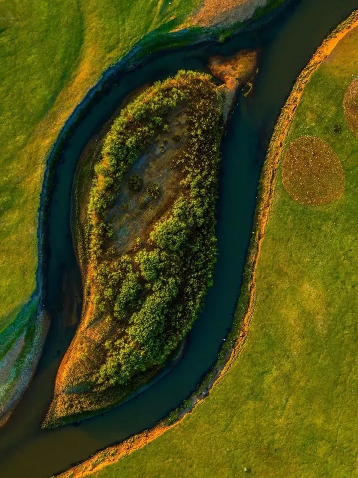 什么是中国传统文化,什么是中国文化