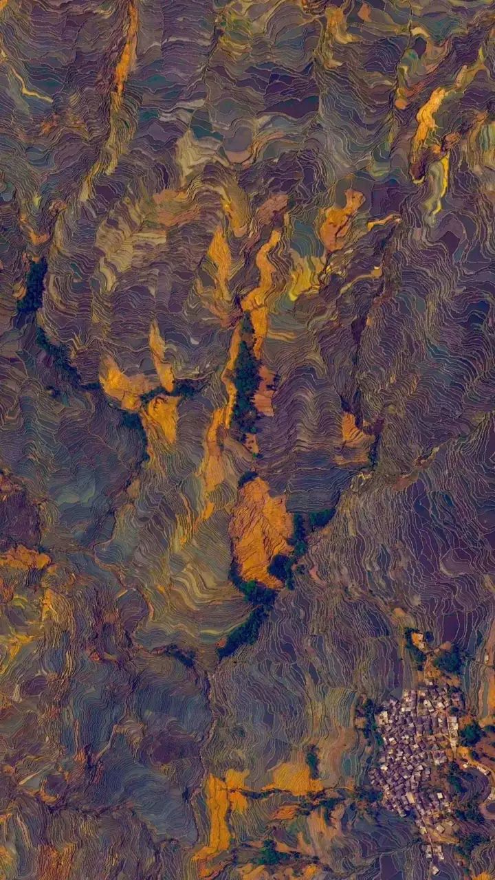 什么是中国传统文化,什么是中国文化