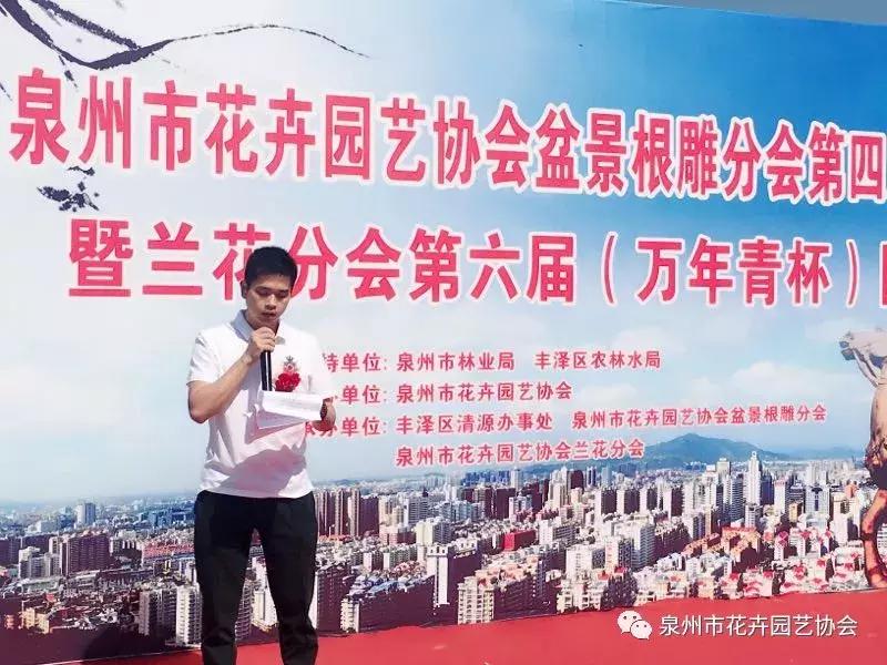 喜迎国庆展风采,迎国庆鲜花展美图