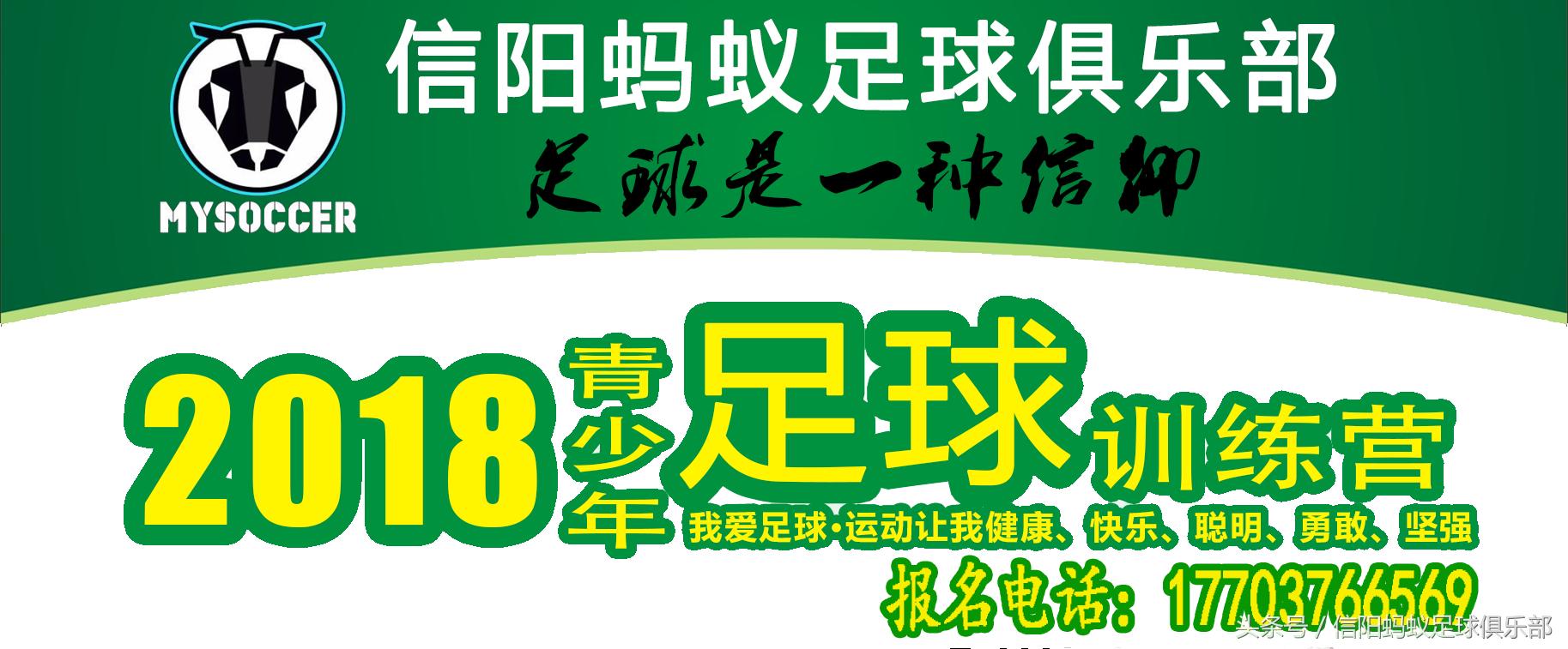信阳蚂蚁足球俱乐部,河南信阳蚂蚁足球俱乐部有限公司