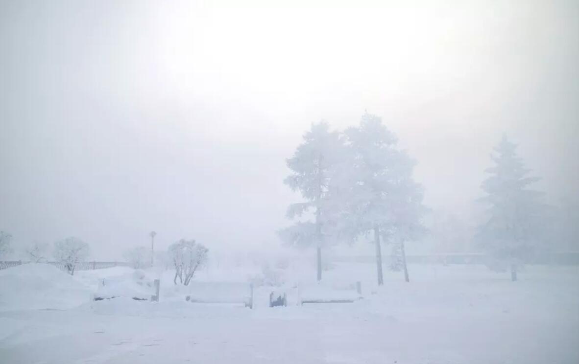雪乡镜泊湖延吉旅游攻略,雪乡东北虎林园