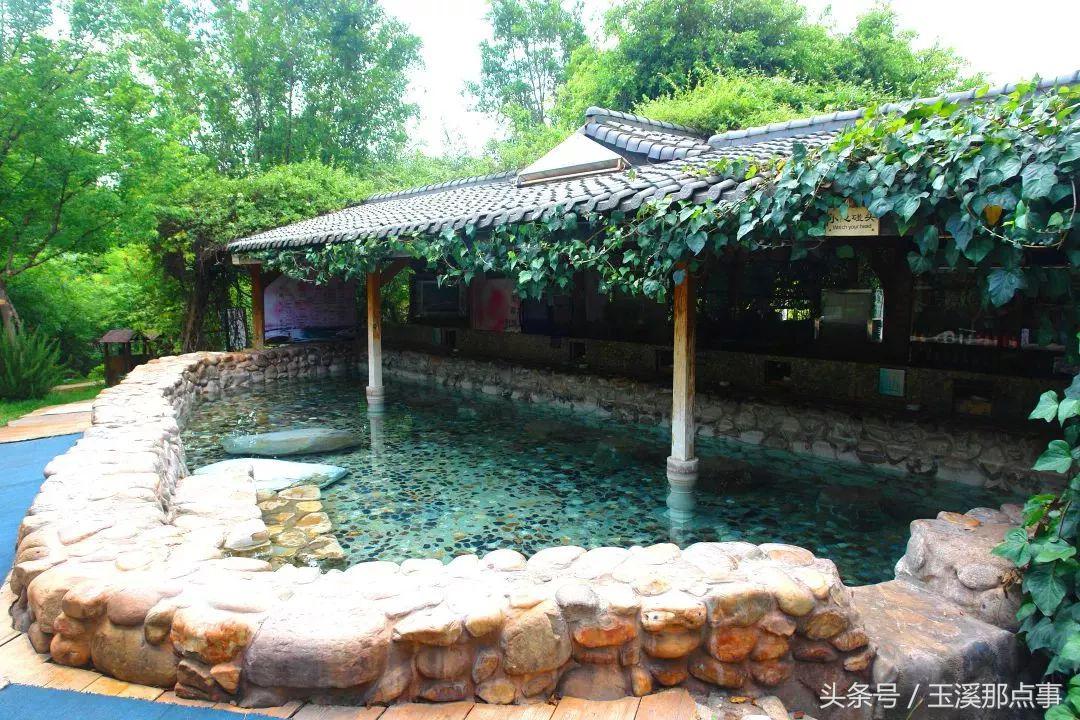 出门怕堵，在家无聊，只用89元就可以走完玉溪这些景区！