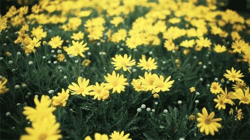 田建队：我的父亲